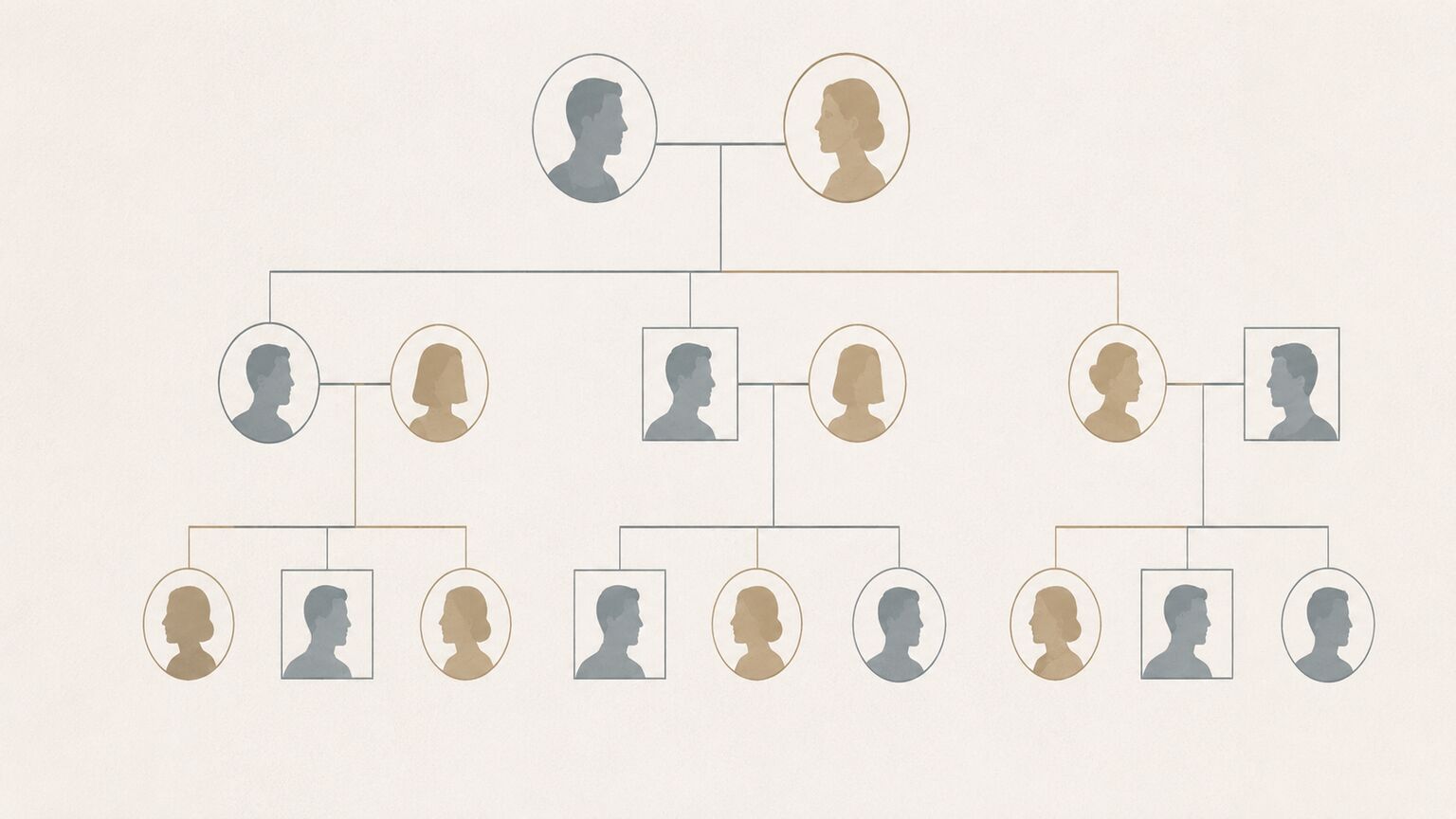 Editorial illustration of a family pedigree diagram showing the inherited Lewis gene trait passing through generations