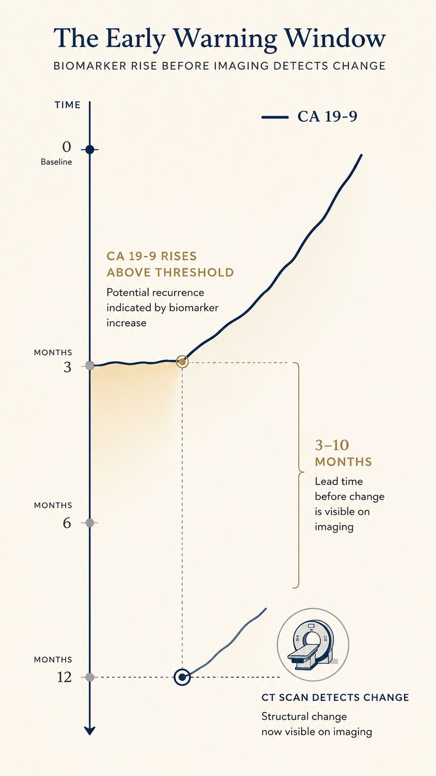 Editorial timeline illustration showing a rising CA 19-9 line crossing an early-warning threshold several months before a CT scan icon activates