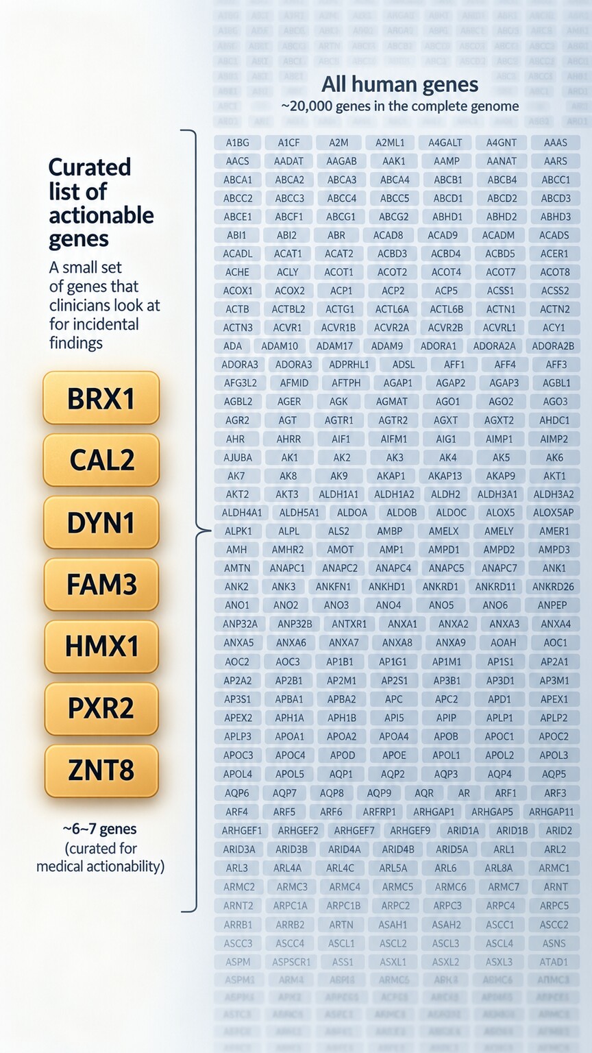 Illustration of a short curated list of specific gene names highlighted and set apart from a much longer full genomic panel