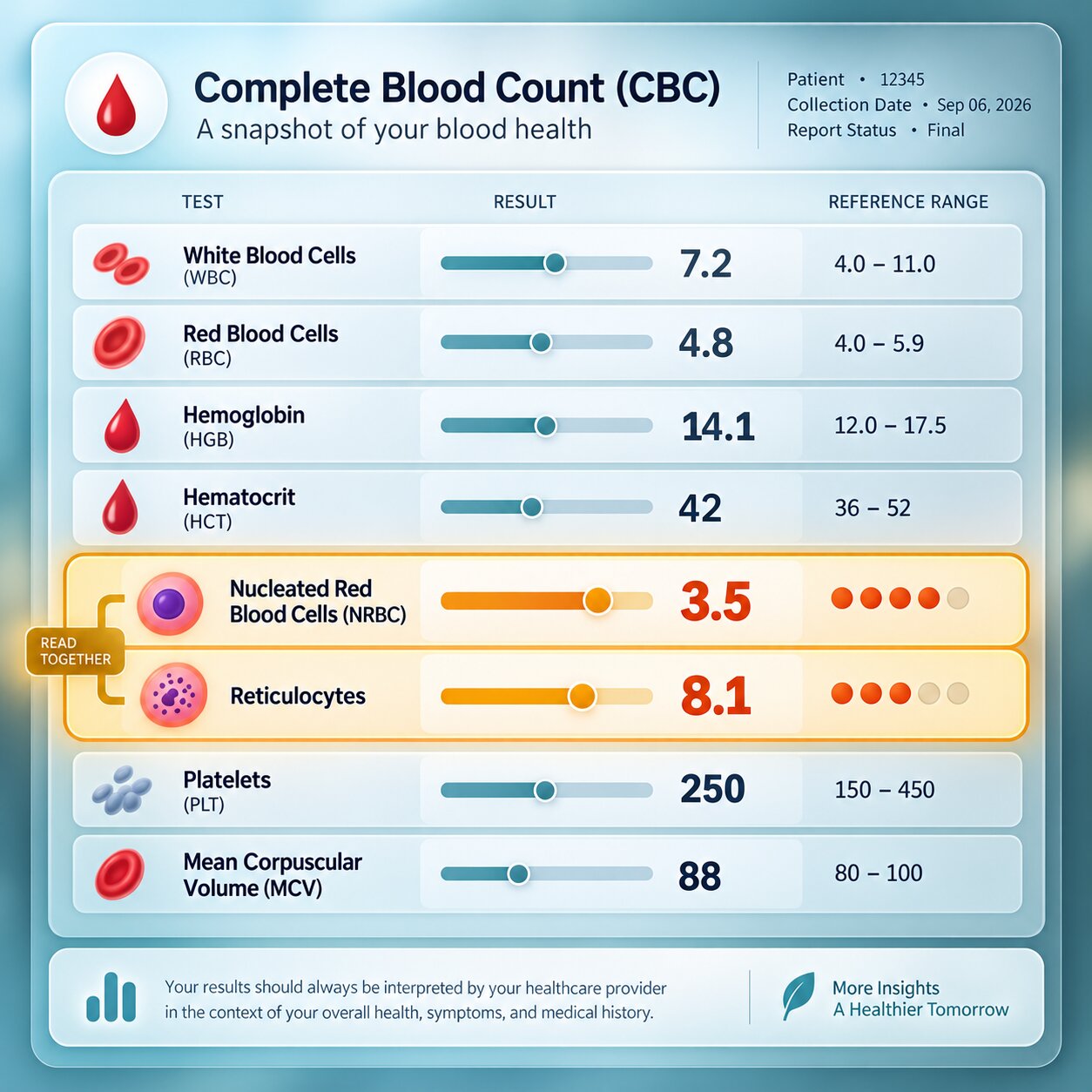 Close-up illustration of a complete blood count report with the nucleated red blood cell and reticulocyte lines visually highlighted together