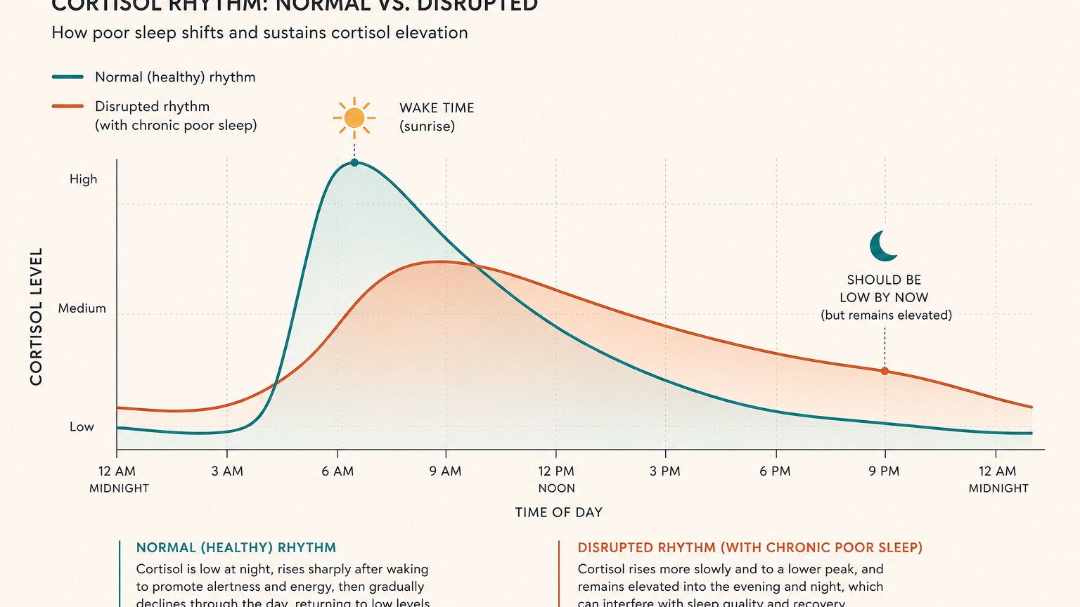 Scientific illustration comparing a normal diurnal cortisol curve to a curve flattened and elevated by poor sleep