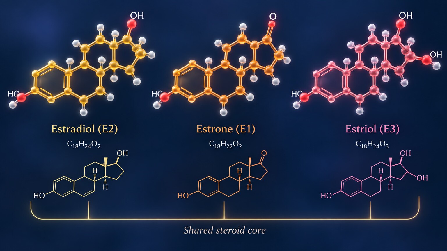 Scientific illustration comparing the molecular structures of estradiol, estrone, and estriol side by side, showing their close chemical similarity despite different biological potency