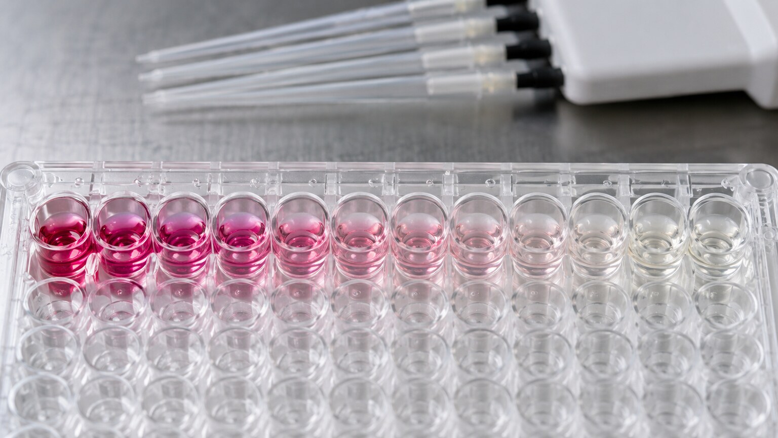 Close-up of a laboratory microplate showing serial dilution wells with decreasing color intensity used to measure an antibody titer