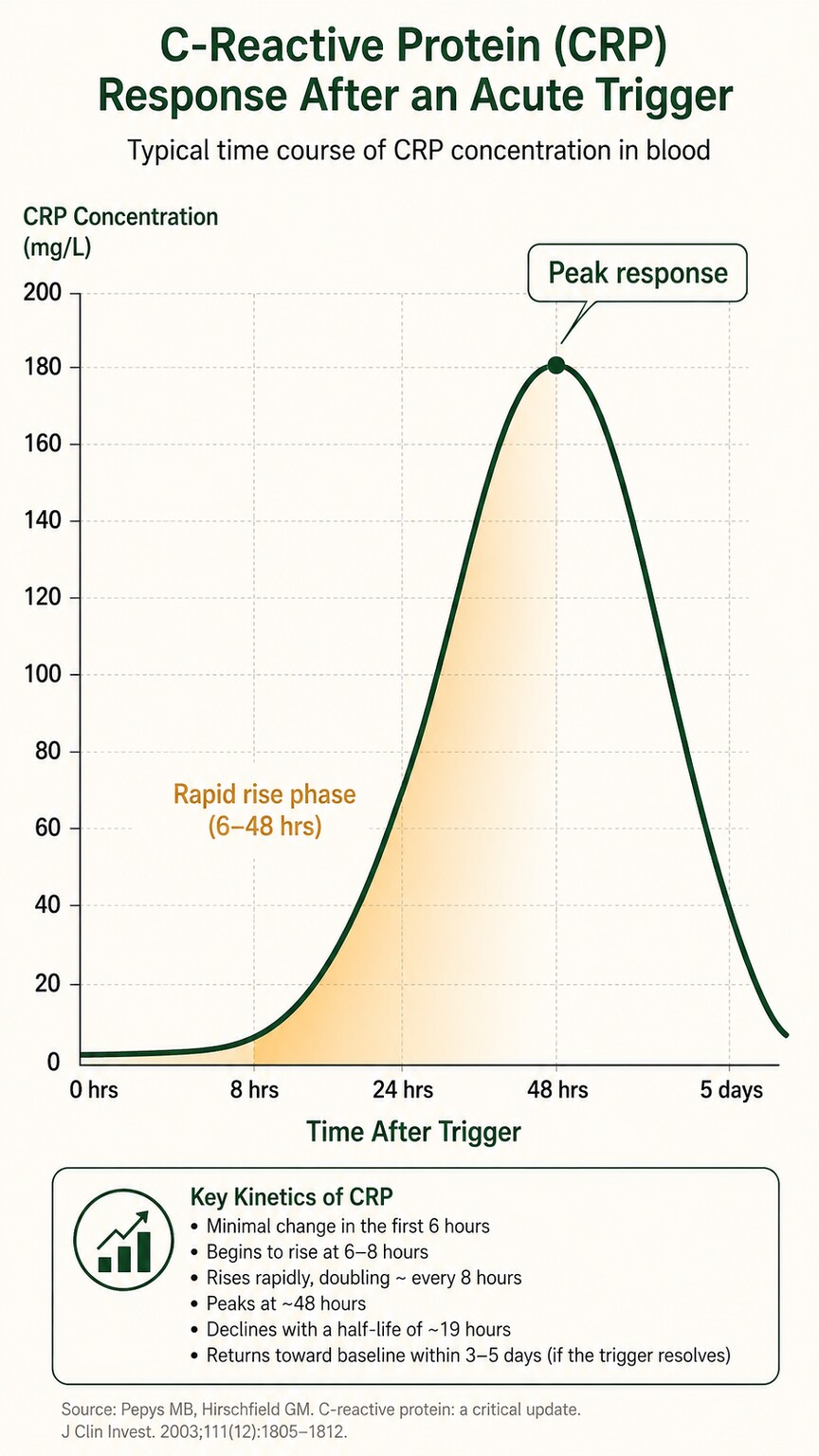 Scientific chart illustration showing CRP levels rising sharply within hours of infection, peaking at 48 hours, then declining