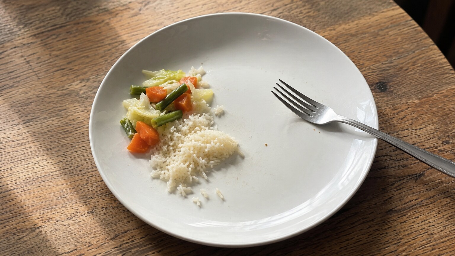 Photograph of a mostly empty dinner plate with minimal protein-rich food, illustrating inadequate dietary protein intake as a cause of low total protein
