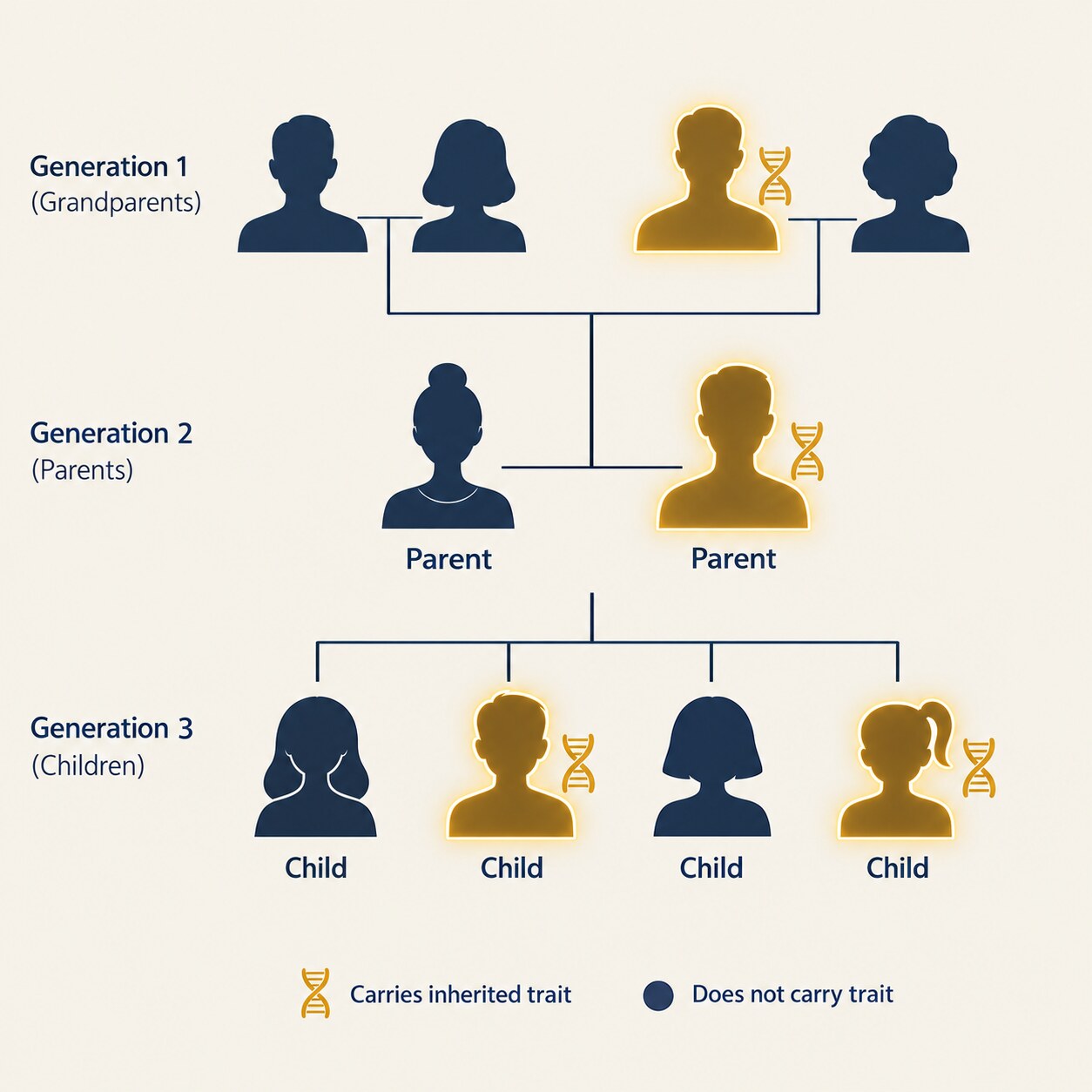 Illustration of a family tree diagram showing an inherited cholesterol condition passed down across three generations