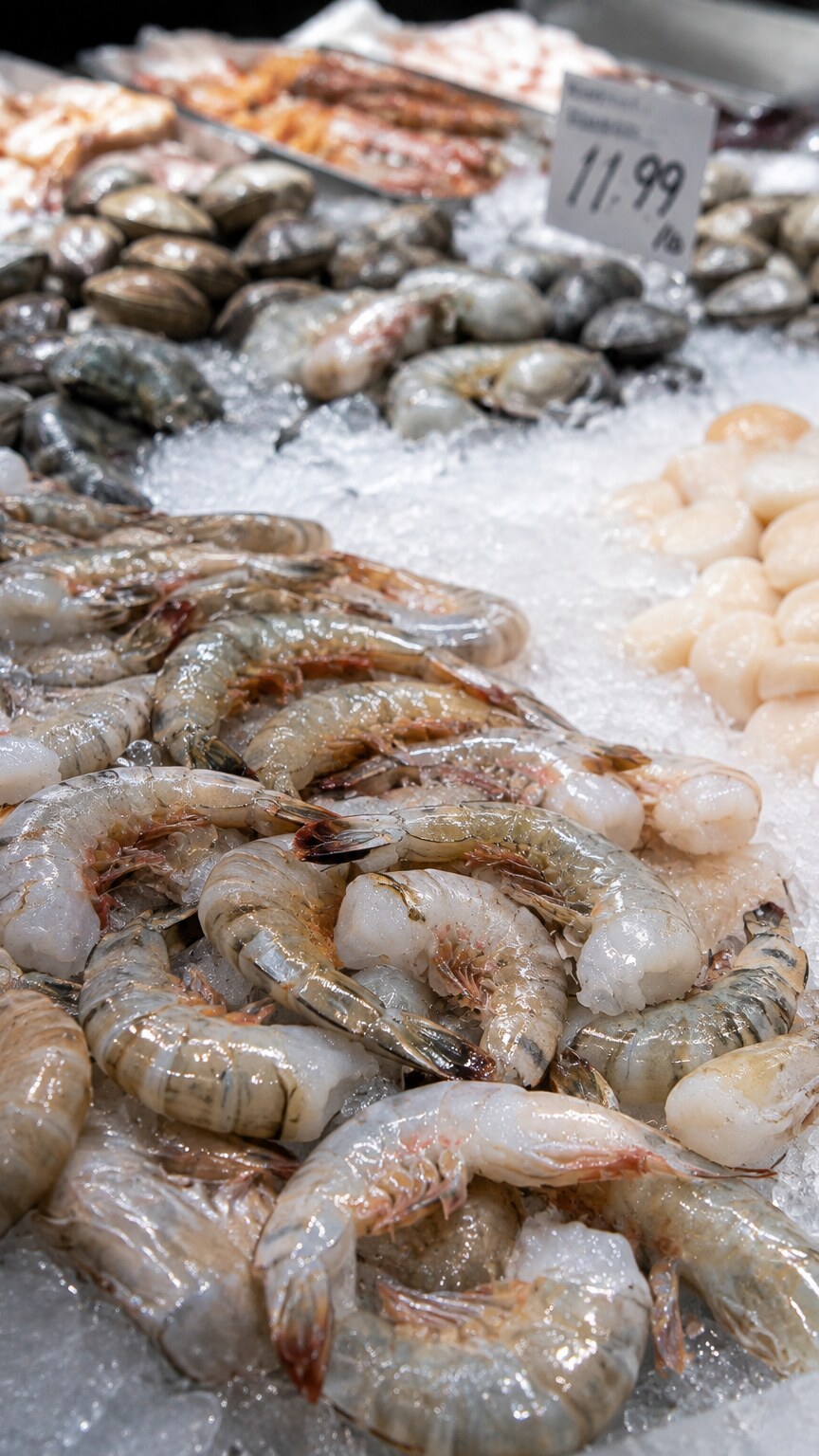 Fresh shrimp and shellfish displayed on ice at a seafood market counter