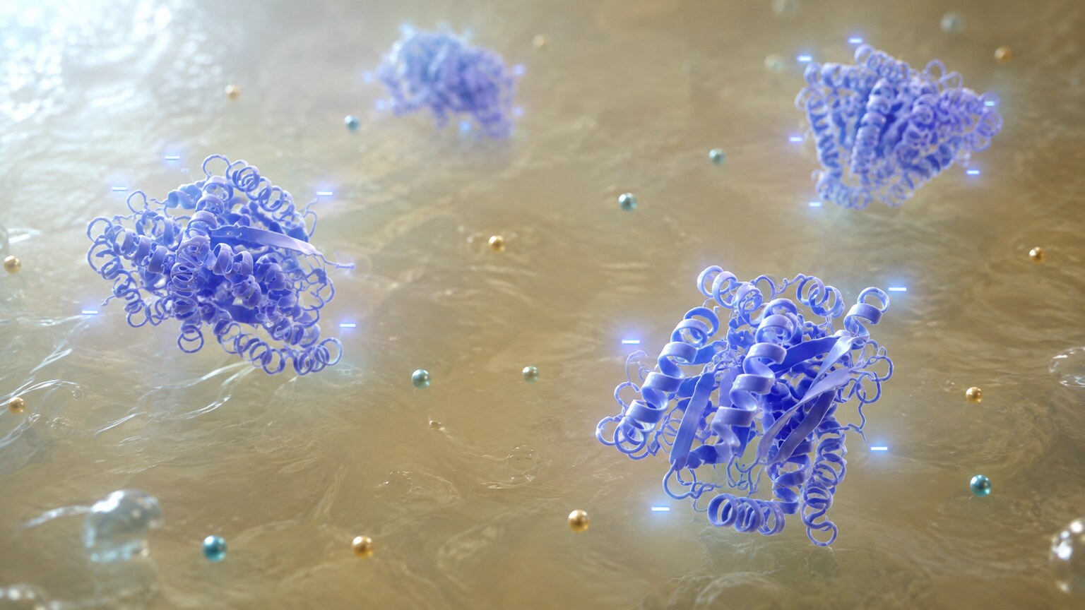 Scientific illustration of sparse albumin protein molecules floating in blood plasma, depicting low protein reducing the anion gap