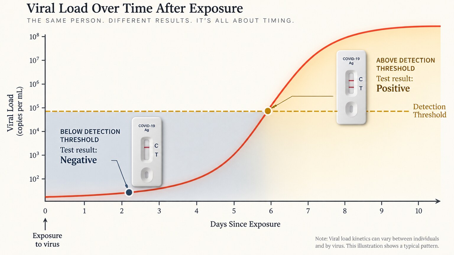 Illustration of a rising viral load curve crossing the detection threshold line several days after initial exposure