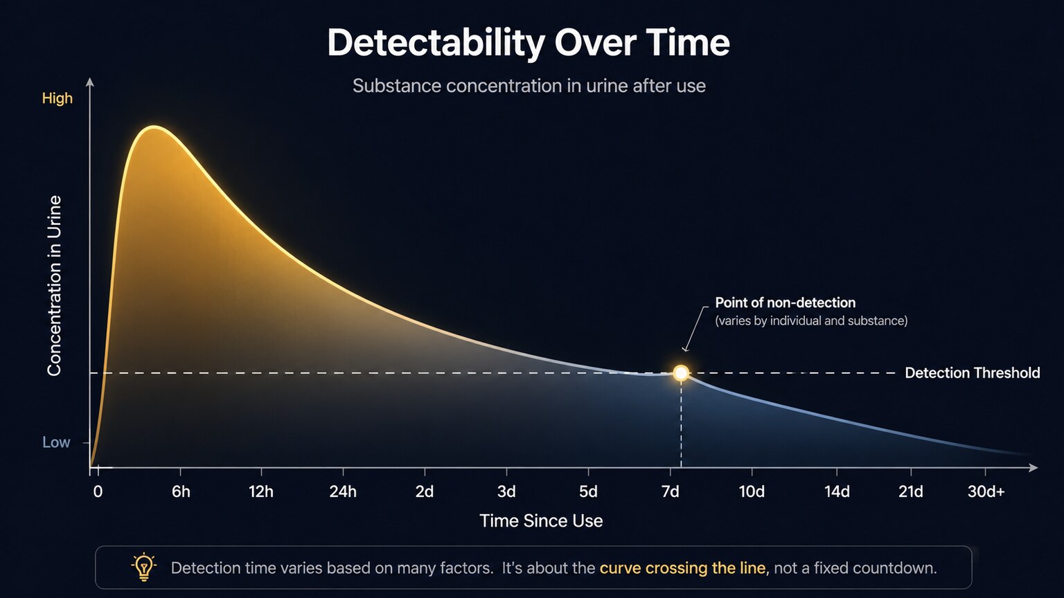 Scientific illustration of a declining concentration curve over time, showing how a substance drops below a detectable threshold