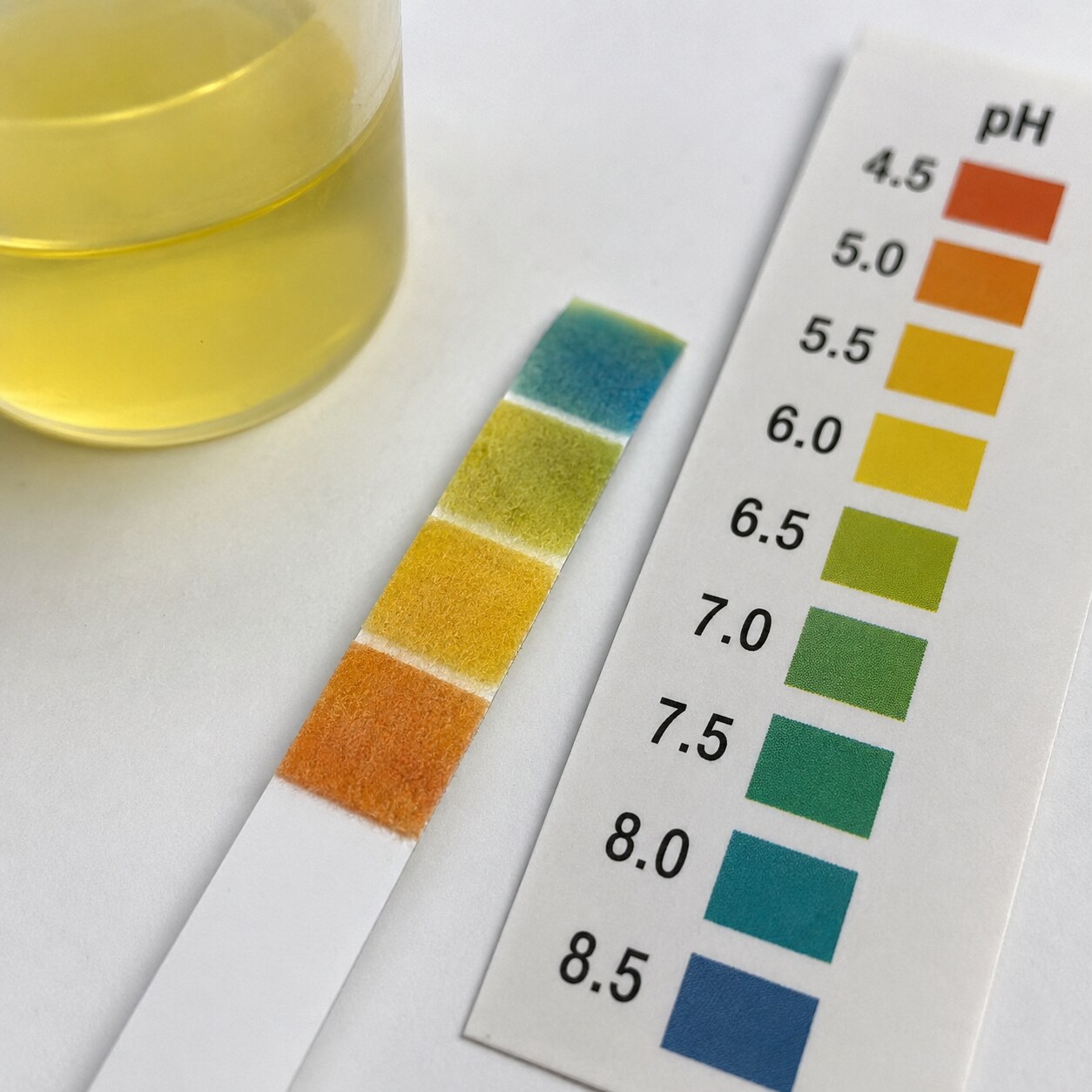 Close-up of a urine dipstick pH pad showing a graduated color scale from red through orange to blue-green